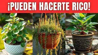 15 PLANTAS que los MILLONARIOS tienen en casa para ATRAER DINERO y RIQUEZA (fáciles de cuidar)