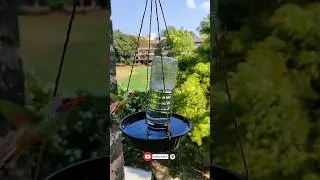 Bird water feeder | Plastic bortle reuse ideas#recycle #youtubeshorts #waterfeeder #shorts