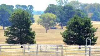 Windellama 100 acres
