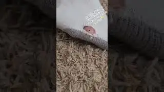 Watch till the end 
