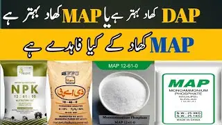 What is MAP Fertilizer || Which is Better: DAP Fertilizer or MAP Fertilizer?  || Shahzad Munir