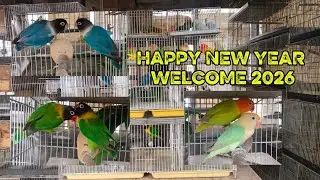 HAPPY NEW YEAR MGA BOSS Ilan sa Mga pangout nten ngaung 2026 