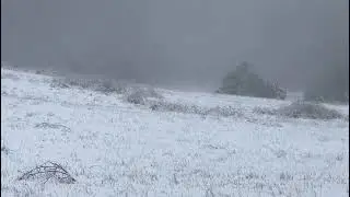 Snow blanket | Central Tablelands NSW