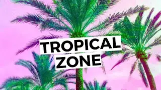 Summer Dancehall Type Beat 2019 