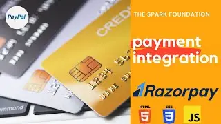 Payment integration website || HTML, CSS, JS || The Spark Foundation