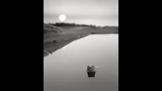 Pentti Sammallahti, la voglia di vita del Grande Nord
