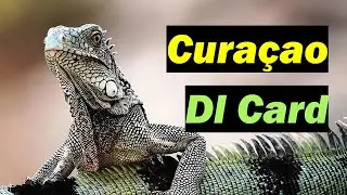 🇨🇼 How to complete the Cura&ccedil;ao Digital Immigration (DI) Card