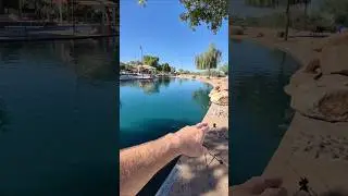 Rio Vista Fishing #fishing #catchingfish #carpfishing