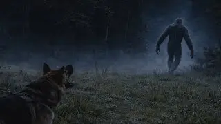 Un BIGFOOT en Hongrie ? Le myst&egrave;re de l&rsquo;&Eacute;corcheur d&rsquo;arbres de Matranovak