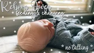 REBORN owen feeding & changing *no talking* | little cradles