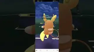 Pokemon Go PVP Copa Tes&oacute;n 💪