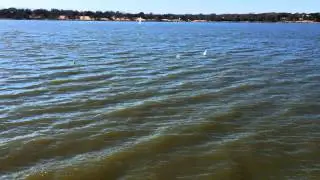 DragonForce RG 65 Match Race #1