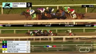 Nafisa wins Race 9 on Friday, January 9 at Santa Anita Park
