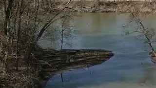 Thames River Monster??