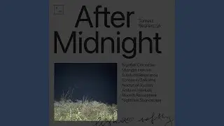 Nighttime Soundscape