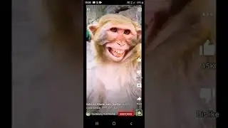 Bandra status