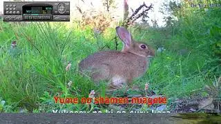 Chage And Aska - On your mark -==Karaoke&ndash;Videoke  - Playback &ndash; Raf electronics