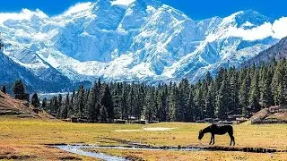 August 22, 2025 Canada out of city lifestyle farms subscribe share please 👌 🙏 😀 