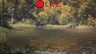 Hunting LIVE! #HunterCOTW #CallOfTheWild #GreatOne #Hunting #Hunts #Trophies #TrophyHUNTING