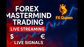 forex mastermind live trading Live Stream