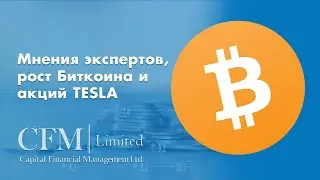 Capital Financial Management. Мнения экспертов, рост Ethereum, Биткоин и Tesla
