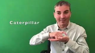 Learn Irish Sign Language (ISL): Nature Vocabulary