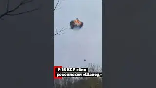F-16 сбил российский &laquo;шахед&raquo;