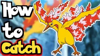 How to get Moltres in Pixelmon#shorts