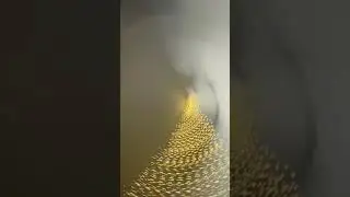 26 грудня 2025&nbsp;р.