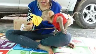 Baby Dodo Much Happy To Play Toy Fishes, Dodo Evening Routine