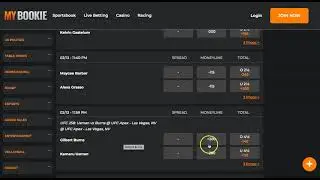 How to Bet on UFC Fights Online