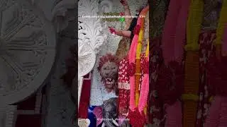 #trending #love #viral #youtubeshorts #puja @souravjvlogs @punji_the_labrador
