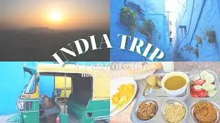 インド一人旅🇮🇳#5 ジョードプルの旧市街を散策！野生の猿に襲われかけた朝。眺めが綺麗なレストランでラジャスターンターリー堪能｜India Trip to Jodhpur｜Blue City