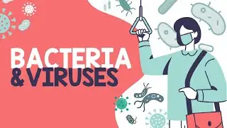 BACTERIA & VIRUSES | Biology Animation