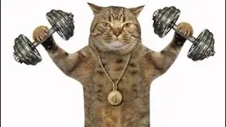 the strongest guy at your gym