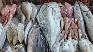 20 March 2024 கடல் மீன்கள் நம்ம கன்னியாகுமரி மாவட்ட  #nagercoil #seafood#beerich