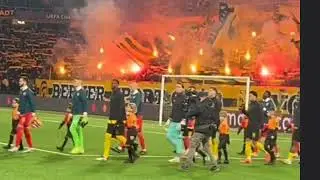 Young Boys fans pyro show vs Red Star - 29/1/2025