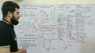 Phylum Mollusca | Definition | Important | Join MR Academy
