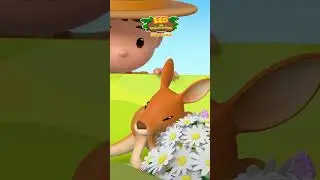 Little Joey on the Loose! 🦘 | Leo the Wildlife Ranger | Kids Cartoon | #shorts #animals