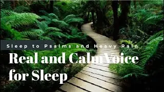 Sleep to Psalms 107 - 119 | Nightly Bible Rest