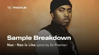 Sample Breakdown: Nas - Nas Is Like