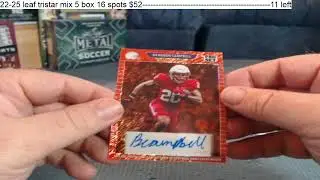 2024 leaf collective jumbo box 9-21-25
