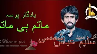 Zakir Syed Saleem Abbas Shamsi #bahawalpur #masaib #qaseeda #viral #14safar #matamdari