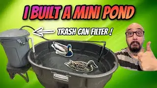 150 Gallon DIY Mini Pond with the Best Aquarium Filter made from a Trash Can!