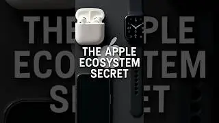 Why Apple Doesn&rsquo;t Need to Sell More Phones to Make Money #appleprofits #iphonerevenue #techearnings