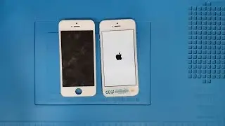 iPhone 5 Home Tuşu ve Ekran Değişimi