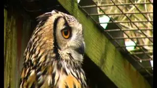 Iolo Williams and the North Wales Bird Trust