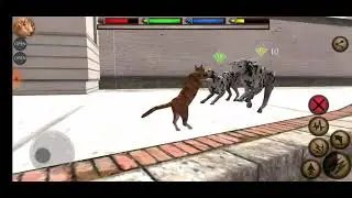 Ultimate Cat Simulator gameplay.