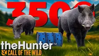 Wird das mein L&Auml;NGSTER Grind in theHunter nach DIESER TROPH&Auml;E?! 🐗👀