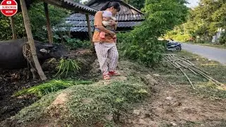 Zero Waste Farm! Feeding Buffaloes & Making Money from Leftover Grass.